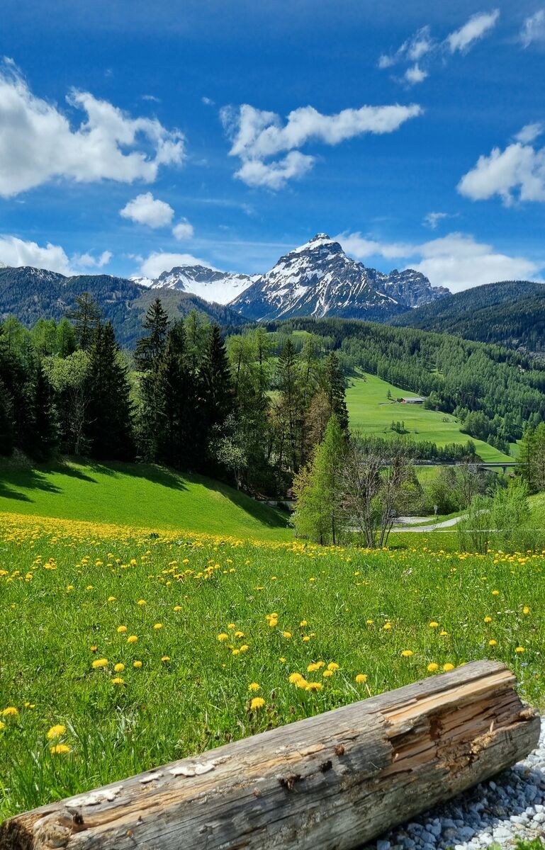 Wipptal | Foto: Silvia Beinl