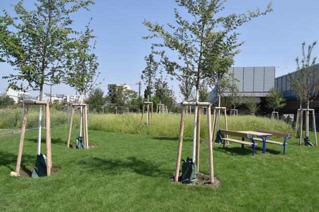 Foto: Karl Pufler/rmw