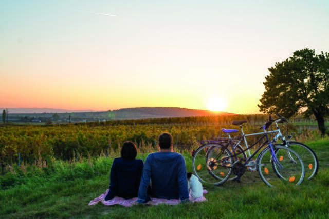 „Das Burgenland selbst hat sich vom 'Armenhaus Europas' zu einer blühenden Tourismus- und Kulturregion entwickelt, die viele Besucher aus aller Welt anzieht", so Bischof Ägidius Zsifkovics. | Foto:  Burgenland Tourismus/Birgit Machtinger