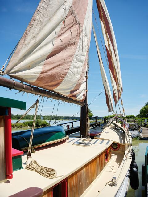 Foto: Stadtgemeinde Tulln / Bernhard Schramm