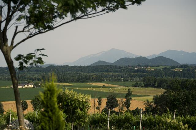 Foto: Kayjansen.com