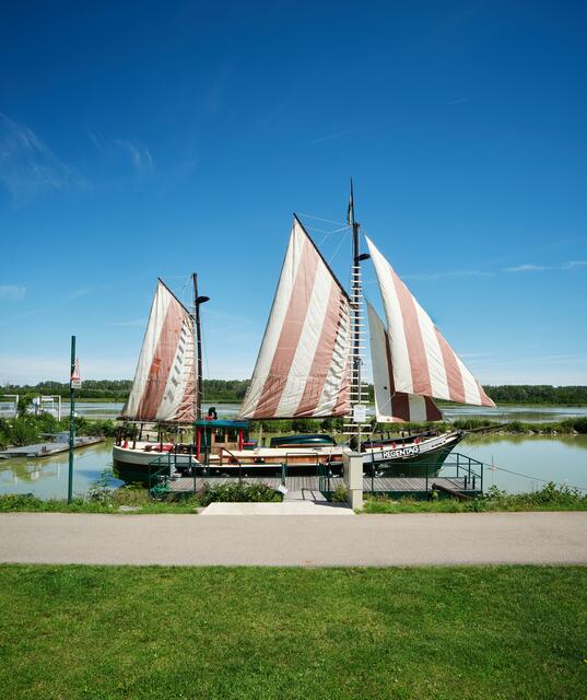 Foto: Stadtgemeinde Tulln / Bernhard Schramm