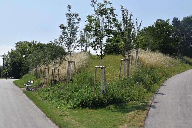 Foto: Karl Pufler/rmw