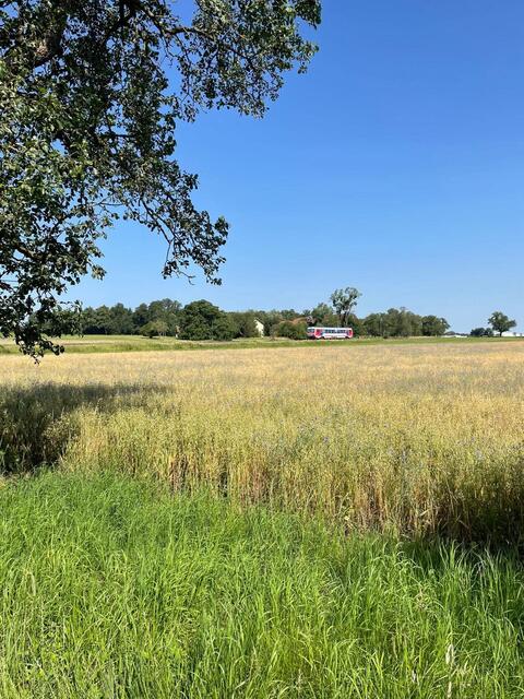 Foto: FF Forchtenau/FF Aurolzmünster