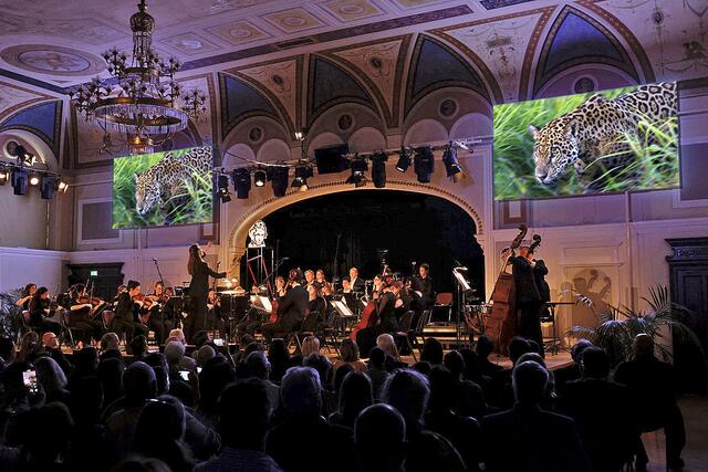 Dorothy Khadem-Missagh dirigiert das Festivalorchester des Beethoven Frühling. Gespielt wurde Beethovens Symphonie Nr. 6 in F-Dur, „Pastorale“. | Foto: Florian Czech