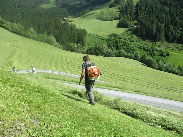 Überall werden diese Blasgeräte als Helfer eingesetzt.
Sie ersetzen drei Menschen.
Am Weg zur Steineralm.