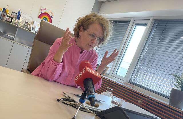 "Wir merken, dass die Menschen in Niederösterreich immer noch eigenheime wollen.", so Christiane Teschl-Hofmeister. | Foto: Bettina Korotvicka