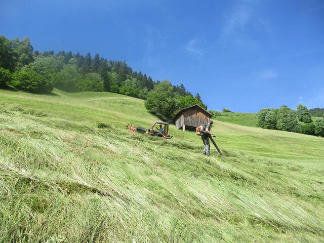 Endlich 3 Tage Sonne....🌞
Da hatten die Bergbauern viel zu tun, um das
trocken-duftende Heu einzubringen.