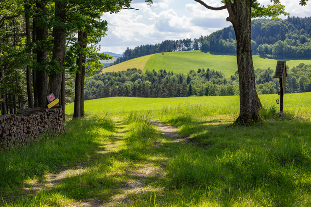 Der Wienerwald bietet zahlreiche Wander- und Radwege, Laufstrecken, Mountainbike-Trails in einer erholsamen Umgebung. | Foto: BPWW/N. Novak