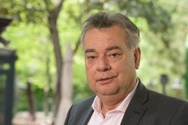 Vizekanzler Werner Kogler | Foto: Roland Ferrigato