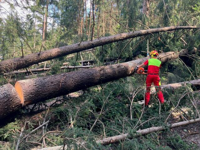 Die Entfernung von Schadholz ist auch in Innsbruck ein Thema. | Foto: Stadt Innsbruck/Forstaufsicht   