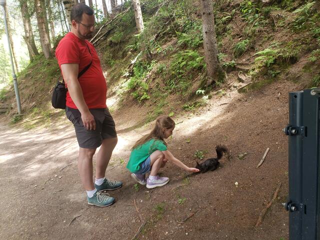 ...vorbei geht`s auch bei der
 Kaiser Wilhelm Promenade wo man die Eichhörnchen fast streicheln kann so zahm sind sie.