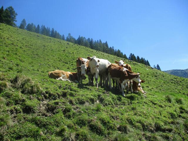 Neugierig werden wir beobachtet...😉