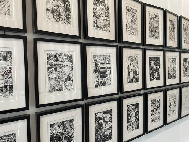 Die Ausstellung in Weiz kann noch bis Ende September besucht werden. | Foto: MeinBezirk/Hofmüller