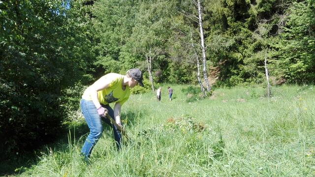 Naturschutz-Mitmachaktion; © Archiv Naturschutzbund OÖ
