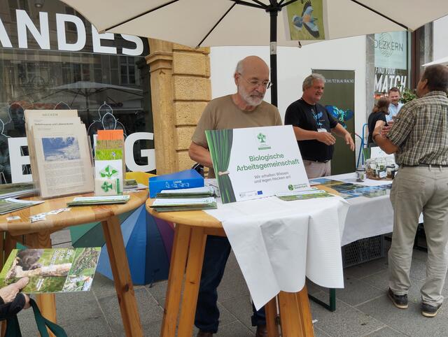 Foto: Veronika Frank