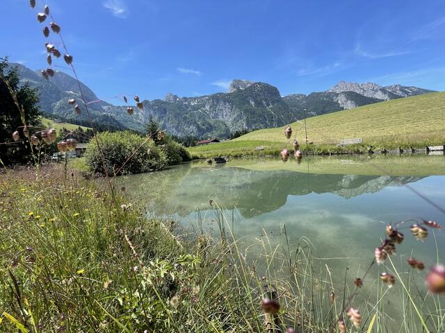 Foto: RegionalMedien Salzburg