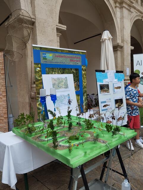 Foto: Veronika Frank