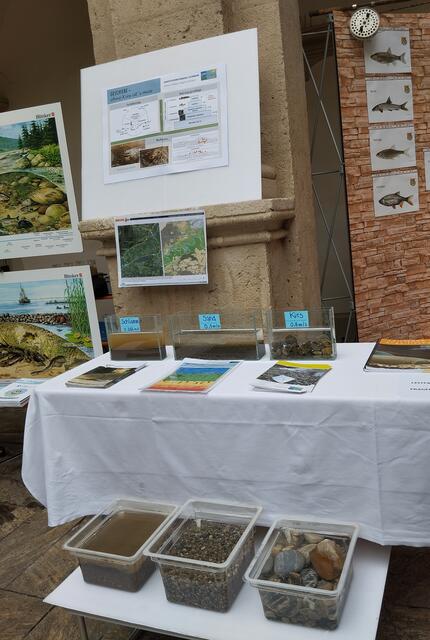 Foto: Veronika Frank