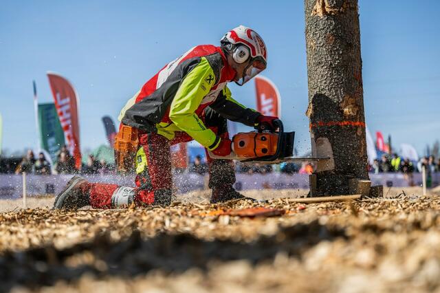 Gleichzeitig zum Kärntner Holzstraßenkirchtags findet auch die Kärntner Waldarbeitsmeisterschaft statt. | Foto: Stihl