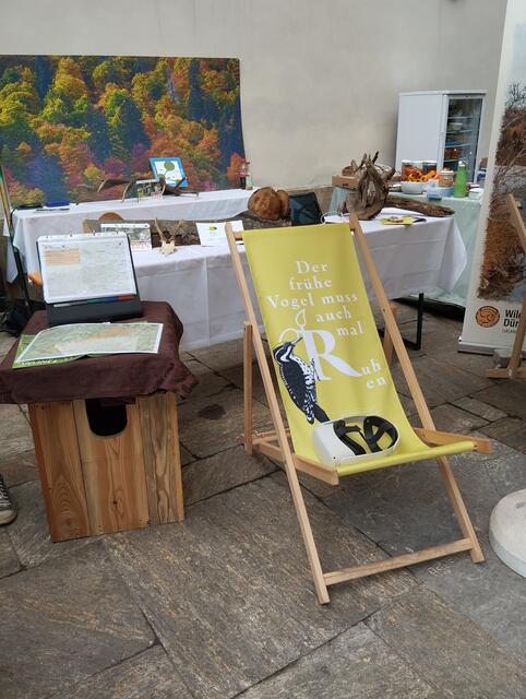 Wildnis genießen mit einem virtuellen Flug über das nö -steir. Wildnisgebiet Dürrenstein - Lassingtal | Foto: Veronika Frank