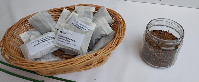 Foto: Veronika Frank