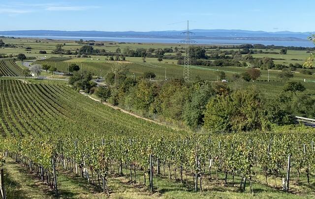 Die Bürgerinitiative spricht sich für den Bau des Krankenhauses aus, aber nicht auf den Golser Wiesäckern. | Foto: Nikolaus Gracher