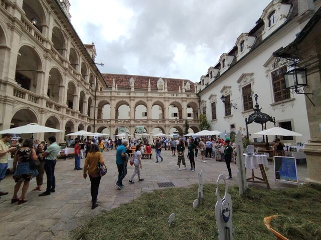 Landhaushof wird zum Treffpunkt der Artenvielfalt | Foto: Veronika Frank