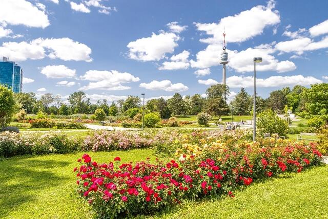 Die Wiener Stadtgärten laden zum Jubiläum „60 Jahre Donaupark” am Samstag, 29.06 und Sonntag, 30. Juni, ein. | Foto: Wiener Stadtgärten/Houdek