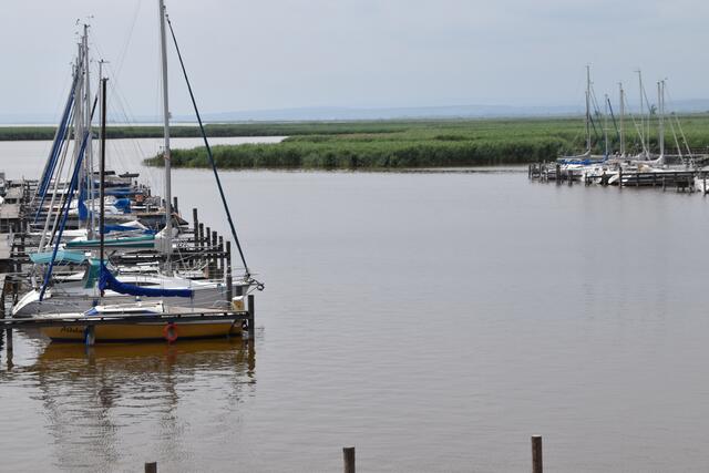 Der verregnete Frühsommer brachte zumindest für den Neusiedlersee etwas Positives mit sich: Der Wasserstand im Juni ist so hoch wie seit 2019 nicht mehr. Mehr als 40 Autorinnen und Autoren haben sich in einer Publikation mit dem Thema Tourismus am Neusiedler See auseinandergesetzt.  | Foto: Stefan Schneider