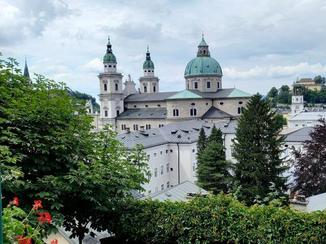 Foto: H.Bachinger 
