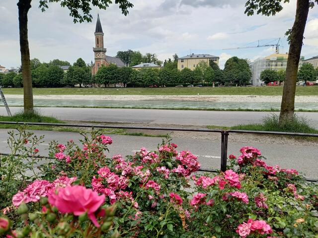 An der Salzach... | Foto: H. Bachinger