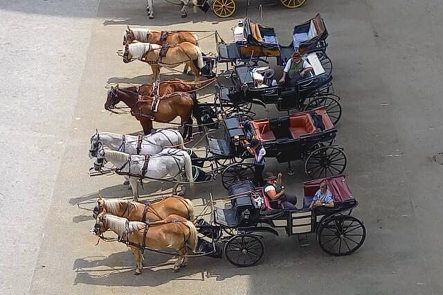 Warten auf eine Ausfahrt.... | Foto: H. Bachinger