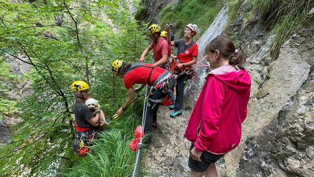 Foto: ZOOM.TIROL