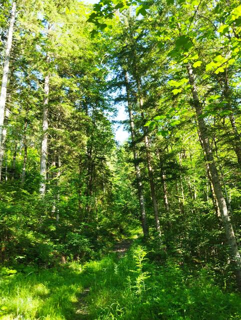 Foto: Veronika Frank