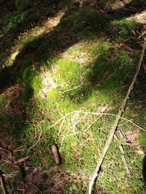 Foto: Veronika Frank