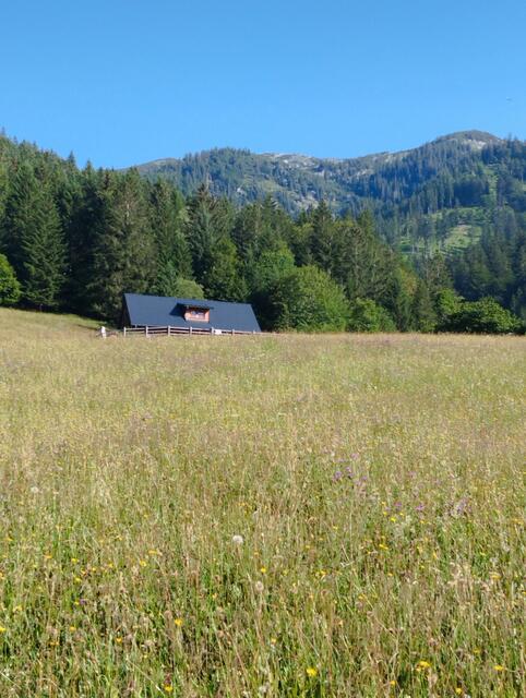 Bergbauer Ferienhütte | Foto: Veronika Frank