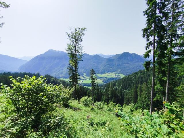 Foto: Veronika Frank