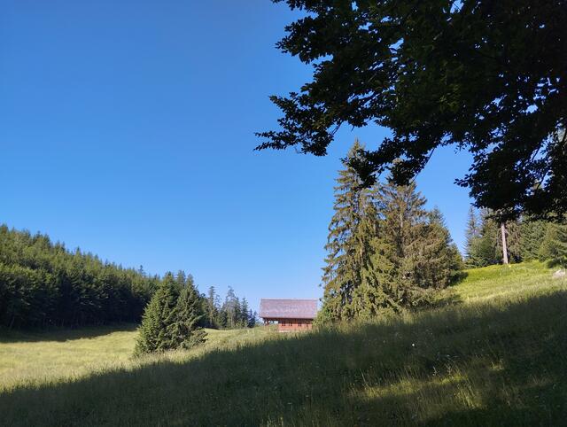 Foto: Veronika Frank