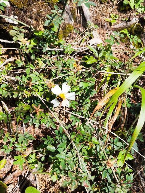 Foto: Veronika Frank