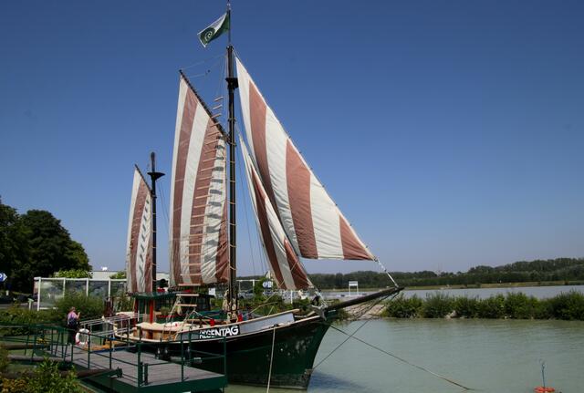 Die Regentag in voller Pracht. | Foto: Christian Nowotny