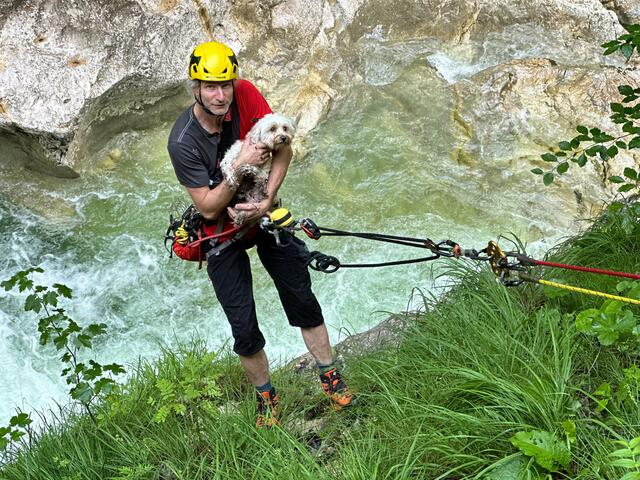 "Fips" konnte von der Bergrettung unversehrt geborgen werden. | Foto: ZOOM.TIROL
