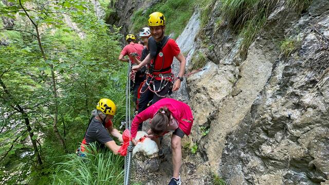 Foto: ZOOM.TIROL