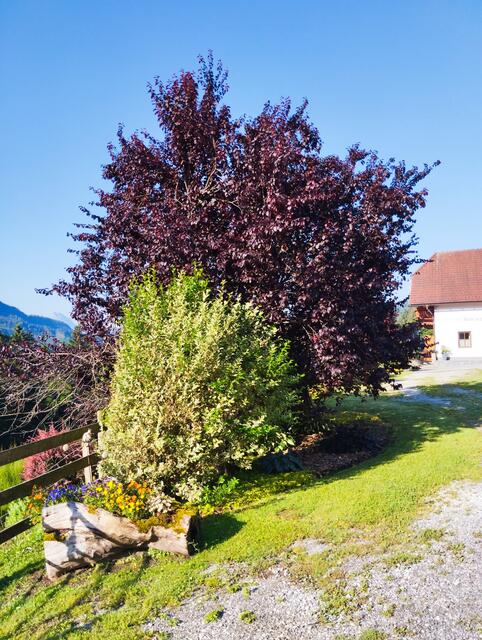 Foto: Veronika Frank