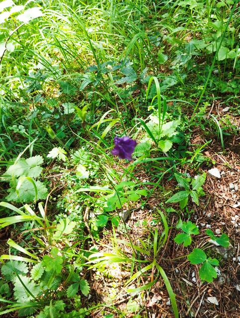 Foto: Veronika Frank