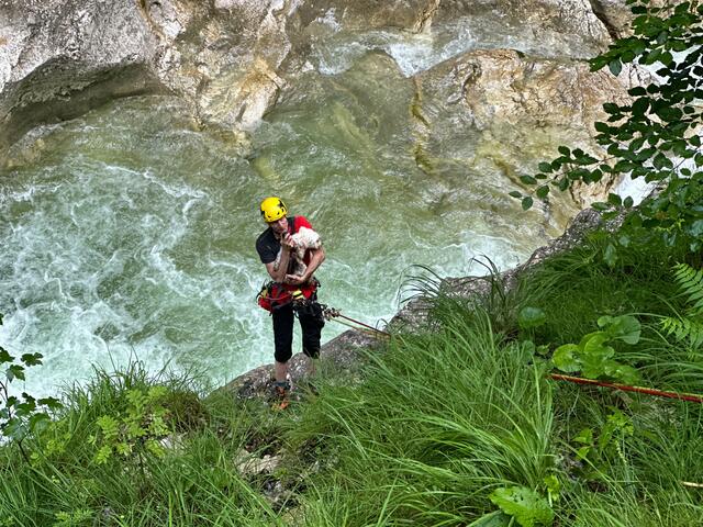 Foto: ZOOM.TIROL