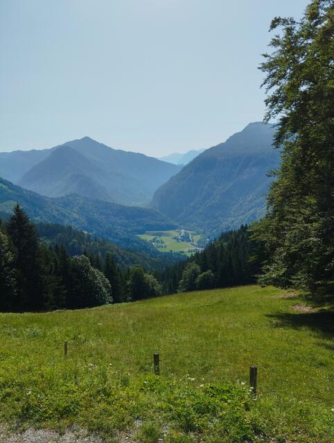 Foto: Veronika Frank