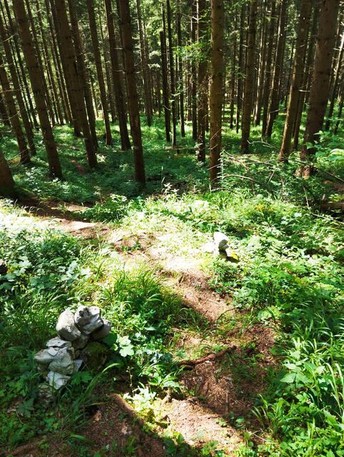 Steinmanderl als Wegweiser | Foto: Veronika Frank