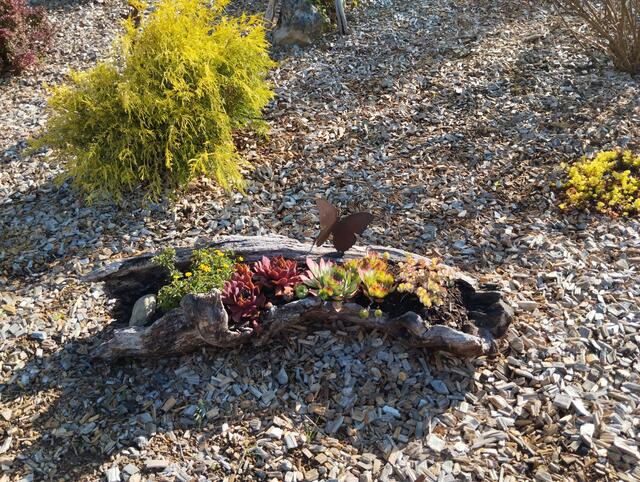 Foto: Veronika Frank