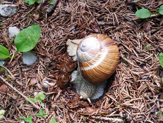 Foto: Veronika Frank